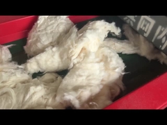 800F model 6mm otwór ekranu, maszyna do cięcia bawełny, krusznik maszyny do cięcia